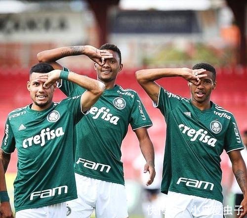 有体系的高 有体系的高