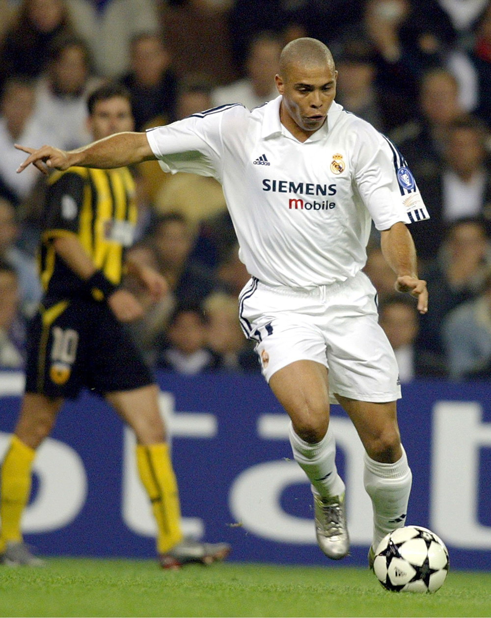 顶级指定打 顶级指定打