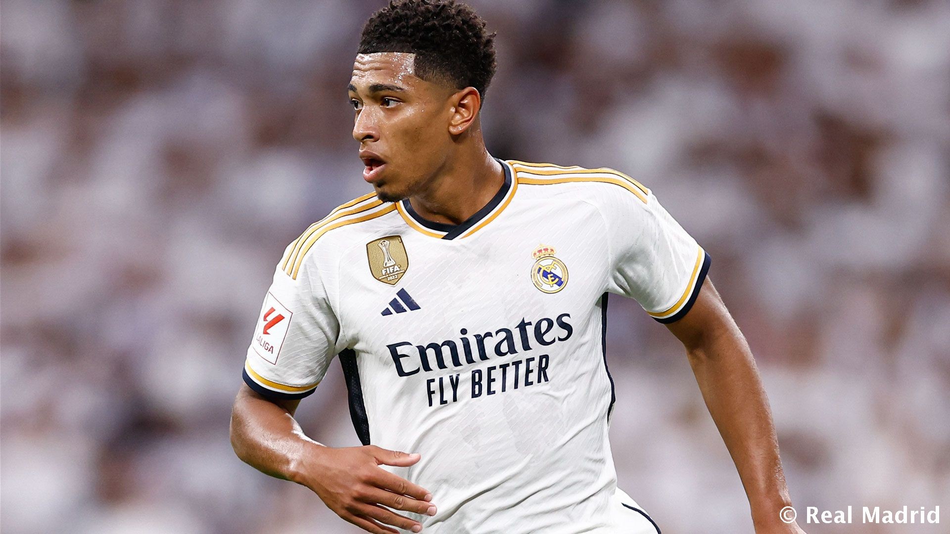 都将因这场 都将因这场